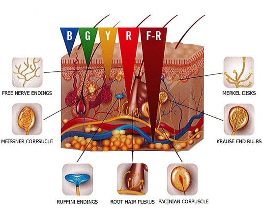 Pure-Tone-Aesthetics-Best-Anti-Ageing-Devices-For-Face Pure Tone Aesthetics